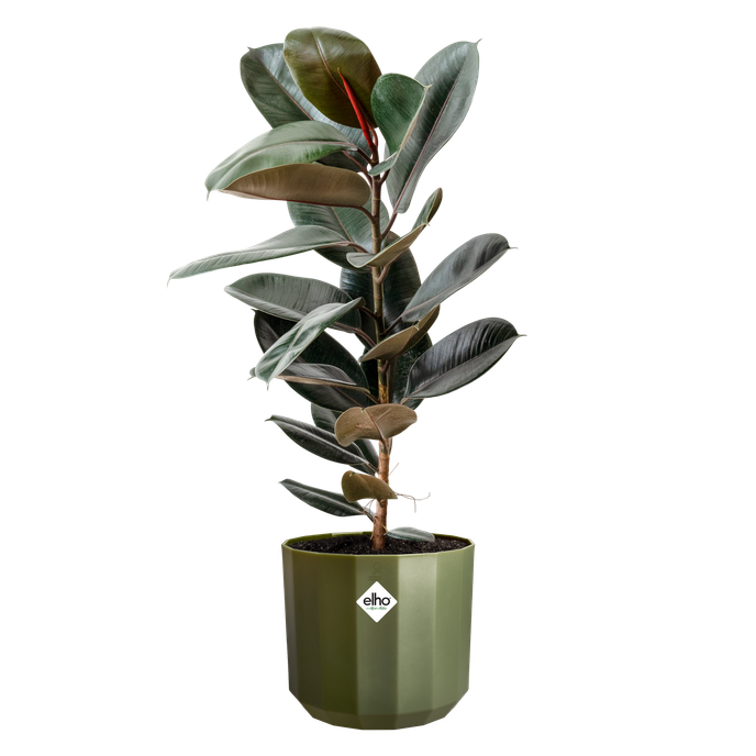 facet rund 23cm wald grün